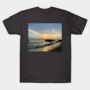 beauty of nature T-Shirt